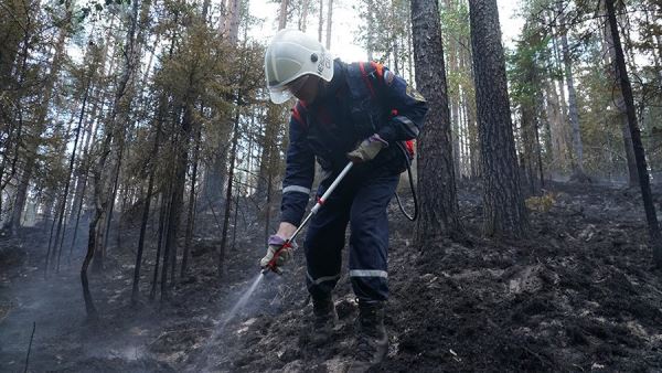 В Подмосковье потушили первые лесные пожары<br />
